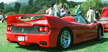 F50 rear view